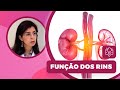 Funções dos Rins