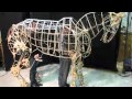 Evolution of a Puppet Horse