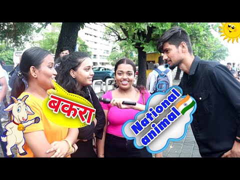 Asking basic question to stranger girl❓|| IQ test🧠