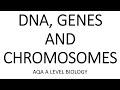 Genetic Code and DNA Concepts