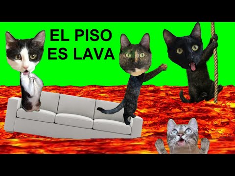 EL PISO ES LAVA PERO VS GATITOS LUNA Y ESTRELLA / Videos de juegos para gatos graciosos