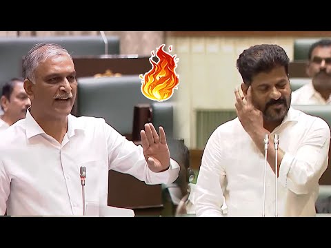 Harish Rao Powerful Speech in Telangana Assembly | Revanth Reddy vs KCR  | BRS | Cinema Garage