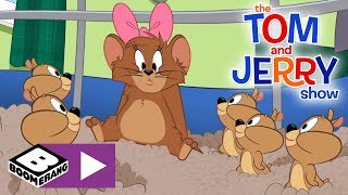 CartoonX - cartoon video - The Tom and Jerry Show | 10,000 Hamster Pups | Boomerang UK