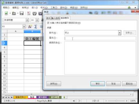 LibreOffice Calc 教學_驗證文字 pic