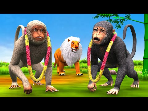 शेर और बंदर का स्वयंवर Dayalu Sher Aur Bandar Ka Swayamvar Ki Kahani Lion and Monkey Story