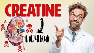 Как Креатин Влияет на Почки и Здоровье