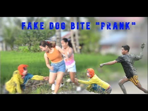 FAKE DOG BITE "PUBLIC PRANK" | Akala nila nakagat sila ng totoong aso 🤣🤣