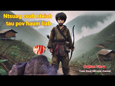 Dab neeg tu siab-Orphan story | Ntsuag cuab ntxiab tau pov haum liab 21/11/2024