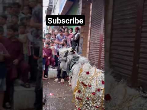 Biggest Kota bakra King । Most Aggressive Andul Bakra । Bhopal Bakre baaz । Deonar । Manzil Pathan