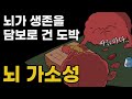 뇌와 꿈의 비밀
