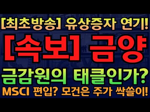 [금양] 속보! 금양 유상증자 연기확정! 금감원의 생각은? MSCI지수변경!  유증 대응법 공개!