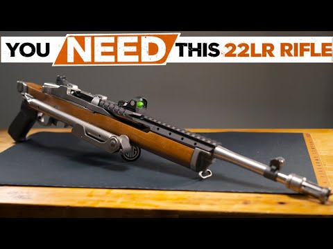 Best .22 LR Rifles 2025! Who's On Top NOW?