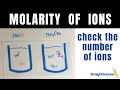 Molarity and Ion Concentration Concepts