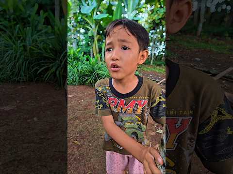 sapi nangis #trendingshorts