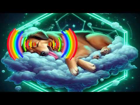 Música de sanación para perros enfermos 432Hz- Musicoterapia para dormir y calmar a tu perro enfermo