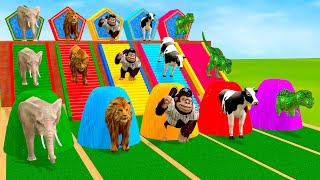 Basket Ball Game With Cow Elephant Gorilla Tiger Buffalo Dinosaur Wild Animal Escape Cage Game