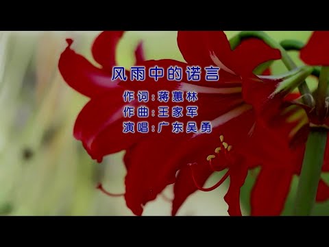 風雨中的諾言 (粵語版) 广东吳勇-伴奏 KARAOKE