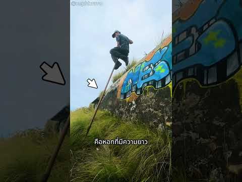 ชายคนนี้ใช้ไม้ข้ามไปมาอย่างกับหลุดมาจากโลกแฟนตาซี 😮 #shorts #shortviral