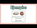 Comprensión del Video Tutorial