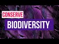Biodiversity Conservation and Human Impact