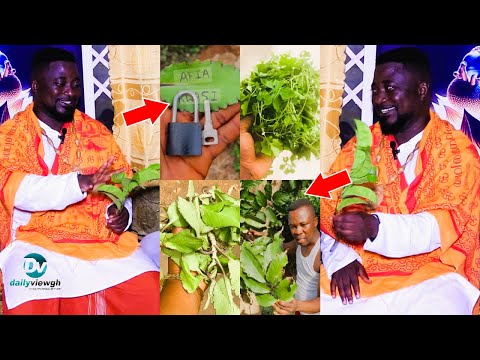 Spiritual & Prosperity Benefits Of Taamiawu, Susumasa, Nyanya Leaf - PART 2 - FULL VIDEO