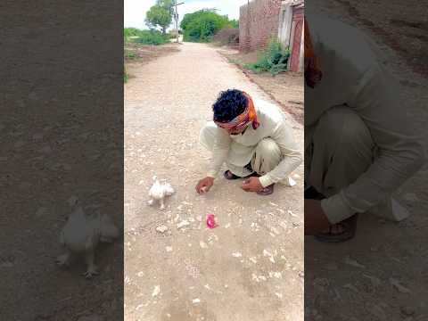 Logon ne bache ko mara hwa samje ke chode diya mane bacha liya choze ko #youtubeshorts #shortvideo