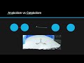 Biological Molecules and Reactions