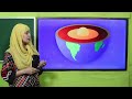 Soil Composition and Characteristics