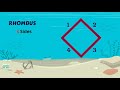 Shapes and Their Properties