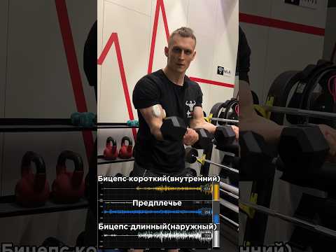 Ну а если вы хотите прогрессировать быстрей,пишите мне в Inst : alexeysmirnov__