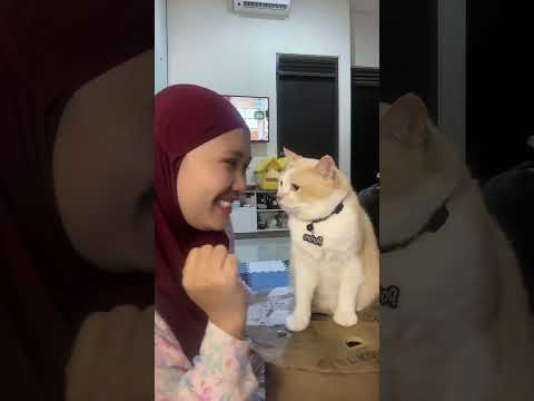Nyesel aku cium dia part 2