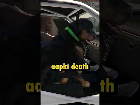 Chop Saves Franklin From Dying 😭 #gta6