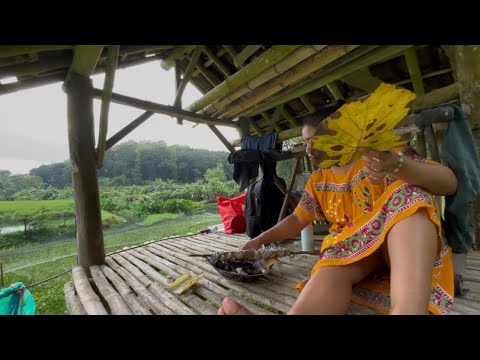 pagi hari jaga padi di sawah sambil membuat sarapan pagi di pondok sawah