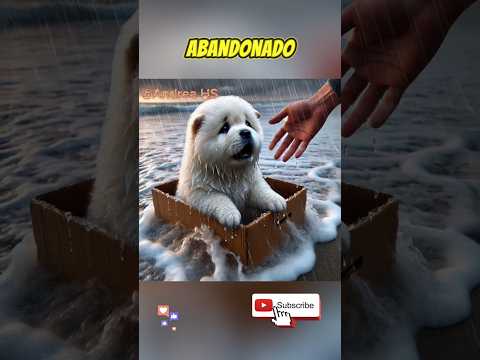 Soy un perrito abandonado 😭😭 #mascotas #perros #andreahs #triste #frases #sad