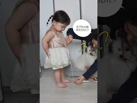 사이즈 이거 맞아요?🐷