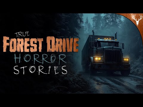 6 Driving through the Dark Woods HORROR Stories