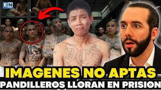 ¡Nueva ley permitirá enjuiciar a 88 mil pandilleros en El Salvador!