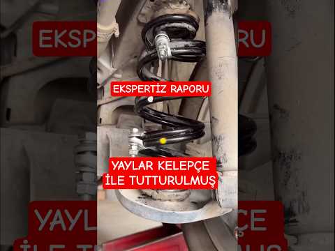 Böyle Ekspertiz Raporu Yok! Tarihte ilk ve tek!