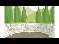 Lysander's Spartan Training and Society