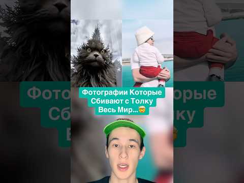 Фотографии Которые Сбивают с Толку Весь Мир…🤯 #shorts #фото #кошка