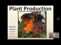 Seed Germination and Plant Care