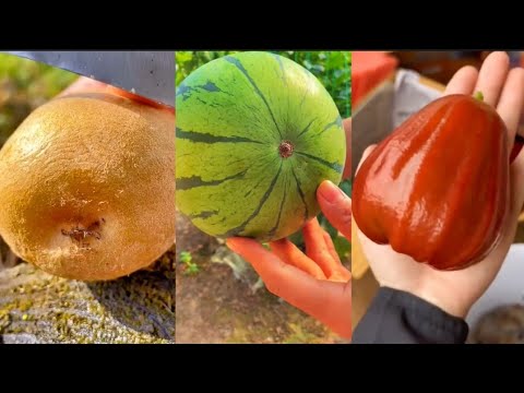 Farm Fresh Ninja Fruits (Oddly Satisfying Fruit Ninja) Harvest Time