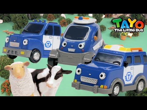 Tim Penyelamat Hewan | RESCUE TAYO | Tayo Lagu Tim Penyelamat | Tayo Bahasa Indonesia