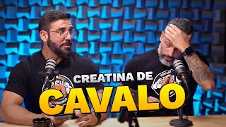 CREATINA DE CAVALO, REBOTE NO TPC E GINECOMASTIA | DOC RESPONDE