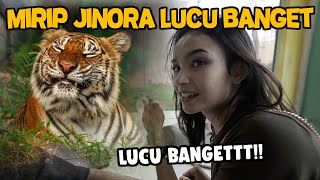 PERTAMA KALI MAKAN DEPAN HARIMAU