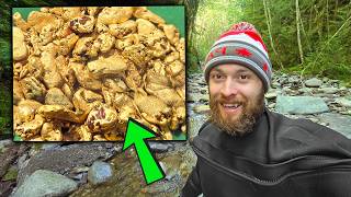 I Found A Pile of GOLD Right After Finding This!