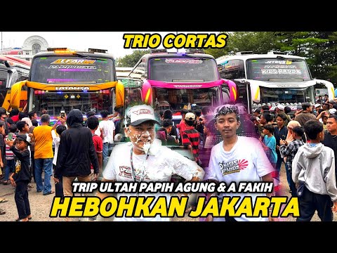 TRIO 12 CORTAS BUS ARTIS KUNINGAN BIKIN GEGER JAKARTA 😍 KIDS PANDA X BLACK PINK X LATANSA