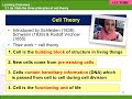 Cell Structure and Function Concepts