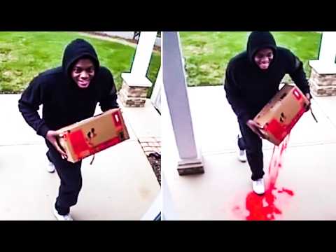 Karma Strikes Thieves in the Funniest Ways