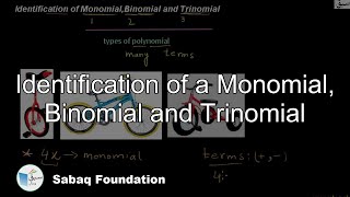 Identification of a Monomial, Binomial and Trinomial